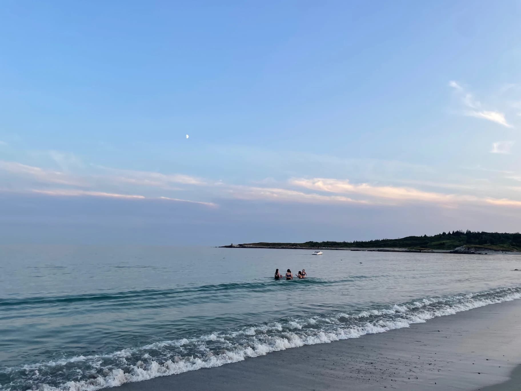 Journey Through the Lens of Wild Frame